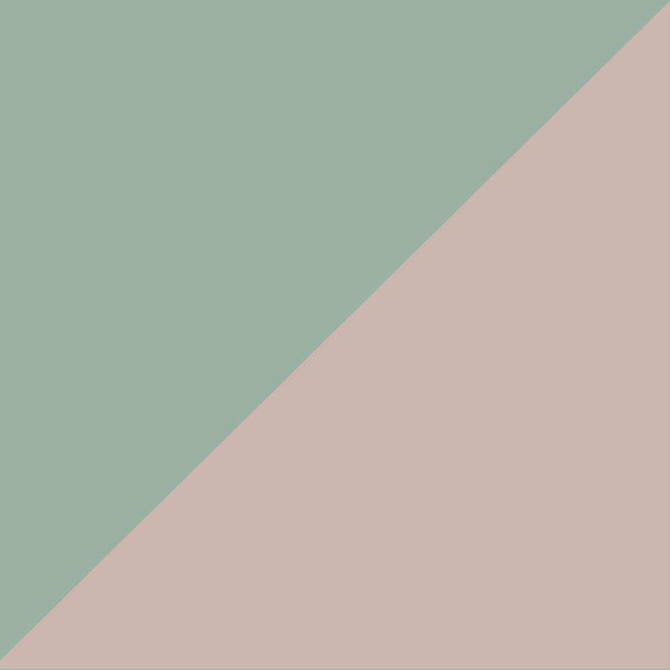 vous avez sélectionné : vetyvert